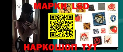 прущие грибы Брянск