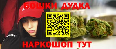 прущие грибы Брянск
