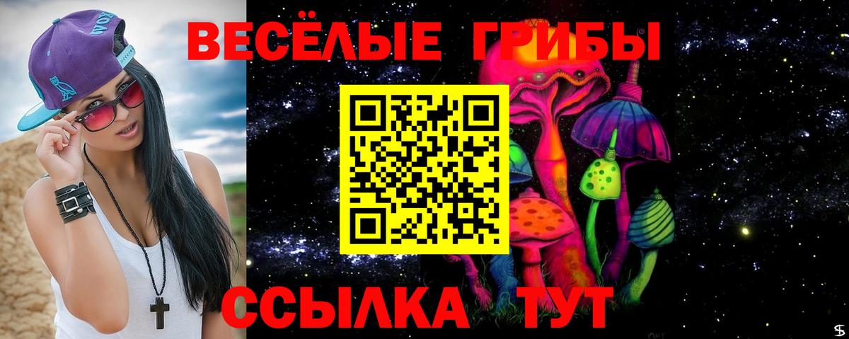 Астрахань  Псилоцибиновые грибы Psilocybe  Вход с VPN 